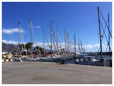 Barbados50 dressed yachts in Tenerife